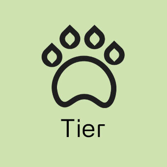 Kategorie Tier – Produkte für Haustierpflege, Futter und Zubehör online entdecken.