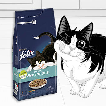 FELIX Trockenfutter – knusprige Kroketten mit Vitaminen und Nährstoffen für ausgewachsene Katzen.