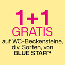 1+1 Gratis auf WC-Beckensteine, div. Sorten, von BLUE STAR