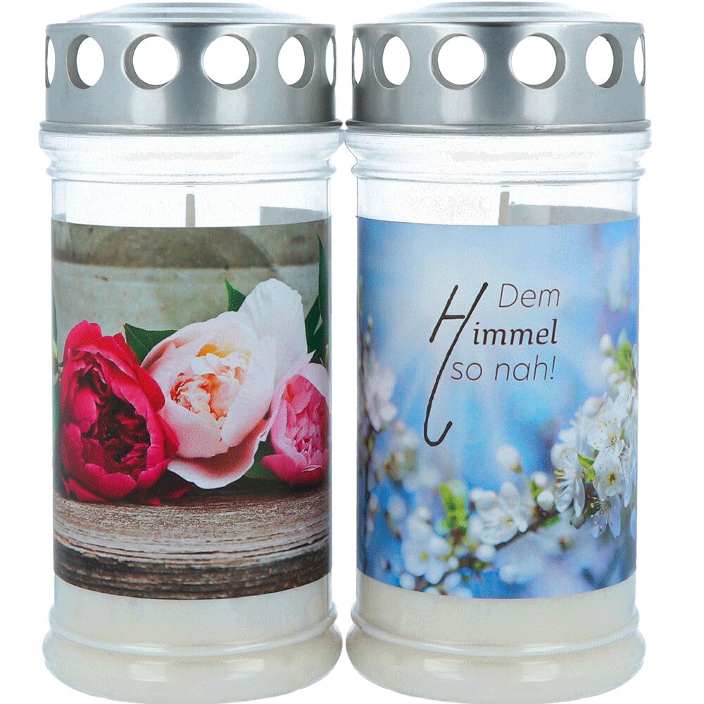 hofer hofer premium motivlicht duo 4 tage bequem gunstig bestellen bipa