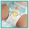 Bild: Pampers Baby-Dry Größe 4+, 10-15kg 