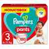 Bild: Pampers Baby-Dry Pants, Größe 3, 6-11kg, Monatsbox 