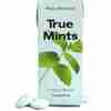 Bild: True Gum True Mints Minze 