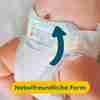 Bild: Pampers Premium Protection Größe 1, 2kg-5kg 