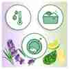 Bild: FAIRY Handgeschirrspülmittel natürlicher Duft Lavendel & Rosmarin 