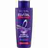 Bild: L'ORÉAL PARIS ELVITAL Color Glanz Purple Shampoo Anti Gelbstich 