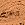 sun beige