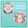 Bild: Pampers Baby-Dry Pants Größe 8, 19kg+ 