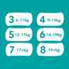 Bild: Pampers Baby-Dry Pants Größe 8, 19kg+ 