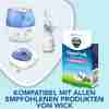 Bild: WICK Baby VapoPads Rosmarin- & Lavendelduft 