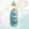 Bild: head & shoulders DERMAXPRO Repair Anti-Schuppen Shampoo & Kopfhautpflege 