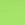 Iced Matcha Latte