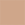Neutral Biscuit