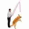 Bild: Karlie Flamingo Dog Dangler Trainingsangel 