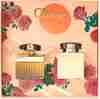 Bild: Chloé Signature Eau de Parfum (EdP) Set 