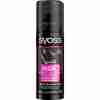 Bild: syoss Ansatz Retoucher Kaschierspray schwarz