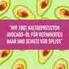 Bild: Nature Box Festes Shampoo mit Avocado Öl 