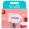 Bild: Gillette Venus Comfortglide Klingen 