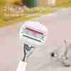 Bild: Gillette Venus Comfortglide Klingen 