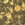 Golden Leaf
