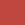 Coral Sunshine