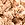 transculent beige