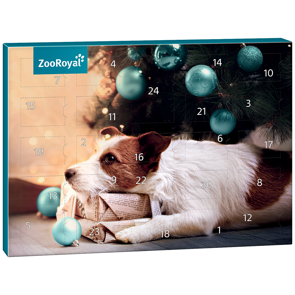 Bild: ZooRoyal Adventskalender Hund 