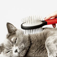 doppelherz haar intensiv kapseln