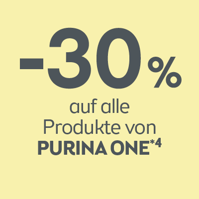 Jetzt sparen