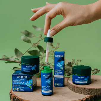 Weleda Hautpflege mit natürlichen Inhaltsstoffen – Pipette-Anwendung, Produkt auf Holz mit Blättern.
