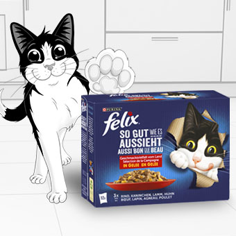 FELIX Nassfutter mit Fleisch oder Fisch – saftige Mahlzeiten für Katzen in praktischen Portionsbeuteln.