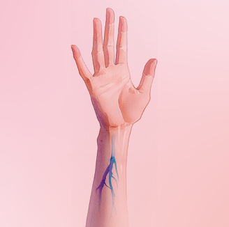 Illustration einer ausgestreckten Hand mit blauen Venen auf rosa Verlauf – zeigt Methode zur Bestimmung des Hautuntertons.