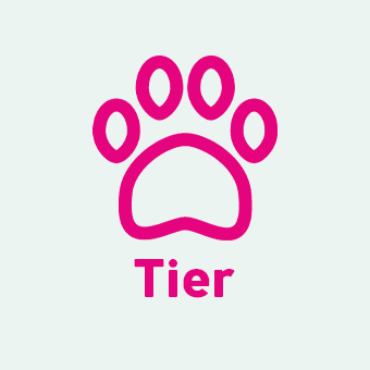 Kategorie Tier – Produkte für Haustierpflege, Futter und Zubehör online entdecken.