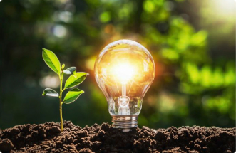 Glühbirne in Erde mit grünem Pflänzchen – Symbol für sauberen Strom und nachhaltige Energiequellen bei BIPA