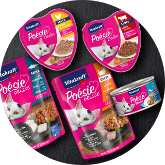 Vitakraft Poésie Katzenfutter – Nassfutter in Schale, Beutel & Dose auf schwarzem Hintergrund – ausgewogene Ernährung für Katzen.