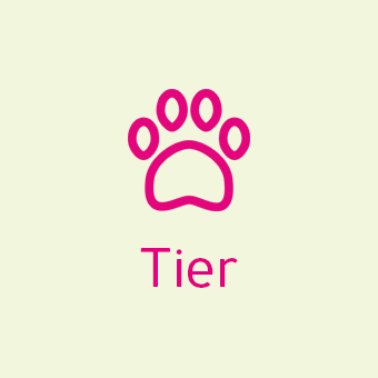 Kategorie Tier – Produkte für Haustierpflege, Futter und Zubehör online entdecken.