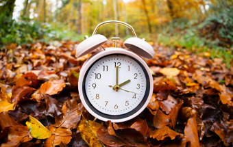 Rosa Wecker auf buntem Herbstlaub im Wald, Symbol für Zeitumstellung und Beginn der Winterzeit.