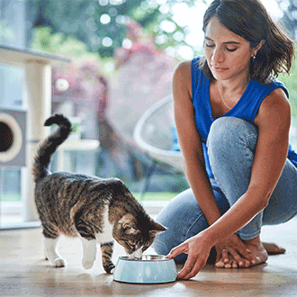 ZooRoyal Katzenfutter – ausgewogene Ernährung für Katzen mit hochwertigen Zutaten und viel Geschmack.