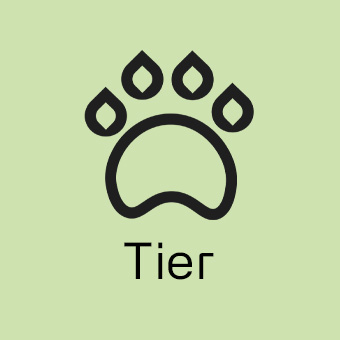 Kategorie Tier – Produkte für Haustierpflege, Futter und Zubehör online entdecken.