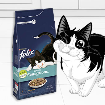 FELIX Trockenfutter – knusprige Kroketten mit Vitaminen und Nährstoffen für ausgewachsene Katzen.