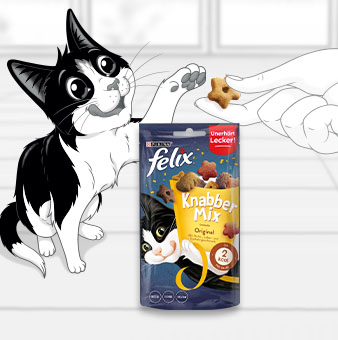 FELIX Katzensnacks – leckere Belohnungen für zwischendurch, ideal zur Ergänzung der täglichen Fütterung.