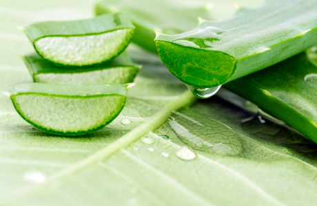 aloe vera gel nach waxing Clean + Easy Soothe Aloe Vera Gel 16 oz