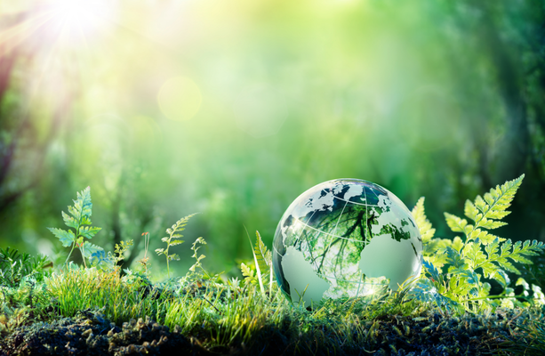 Globus in grüner Natur als Symbol für Nachhaltigkeit und Umweltschutz