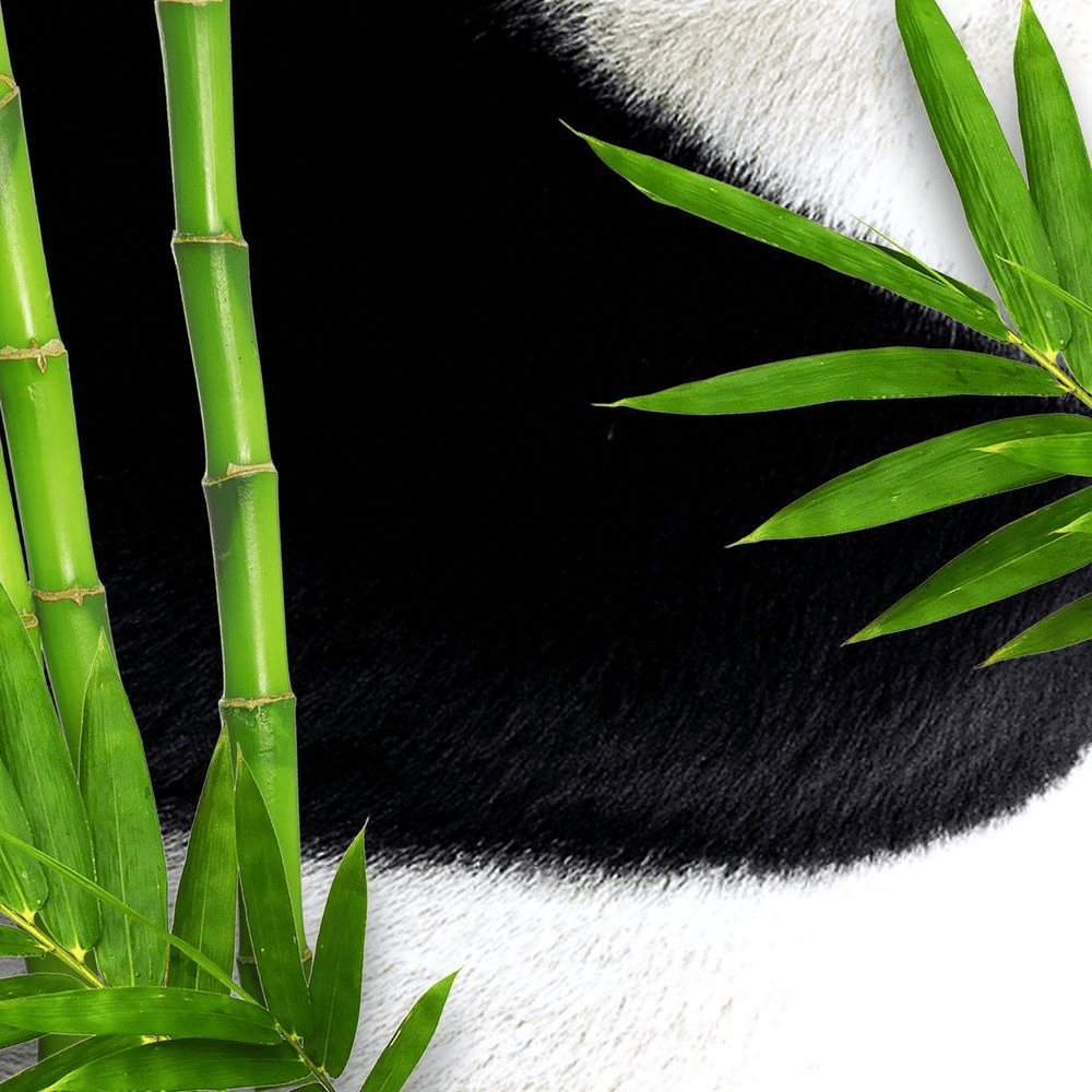 Bild: Bear Fruits Bambus Stärke Länge Haarmaske mit Haube 