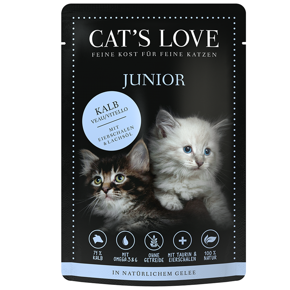 Bild: CAT'S LOVE Junior Kalb 