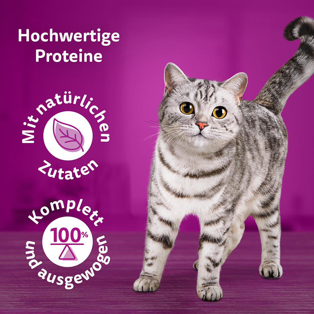 Bild: Whiskas Klassische Auswahl in Sauce