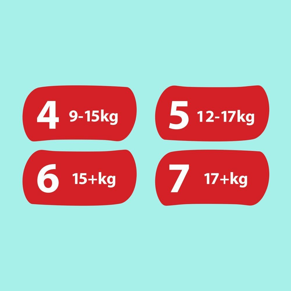 Bild: Pampers Premium Protection Pants Größe 4, 9kg - 15kg
