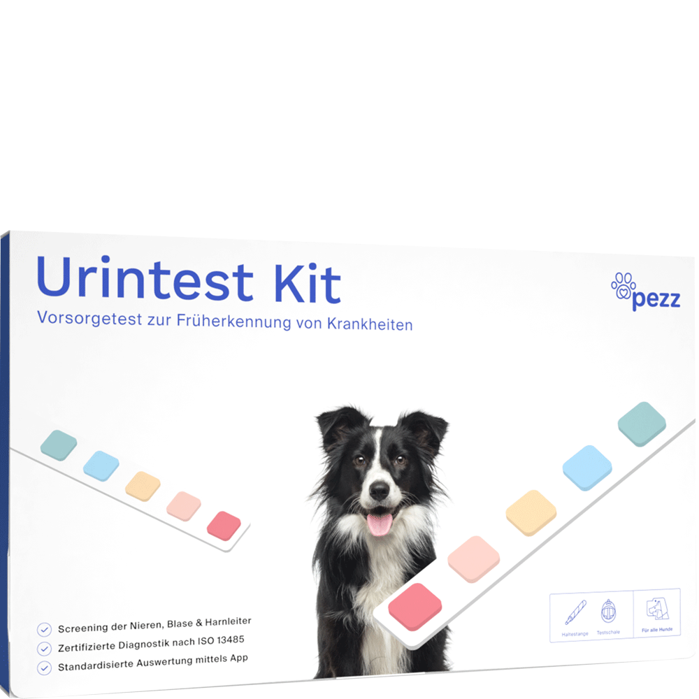 Bild: Pezz Life Urintest Kit für Hunde