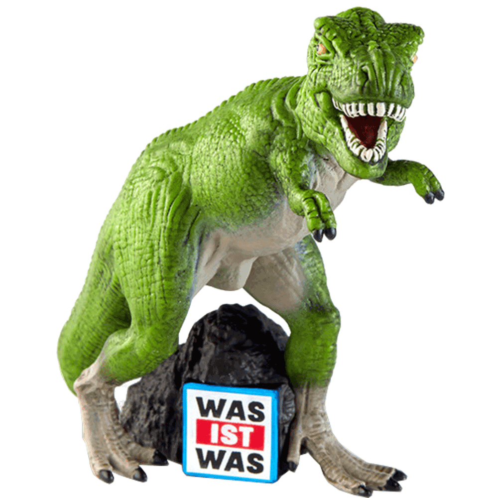 Bild: Tonie Figur Was ist was 