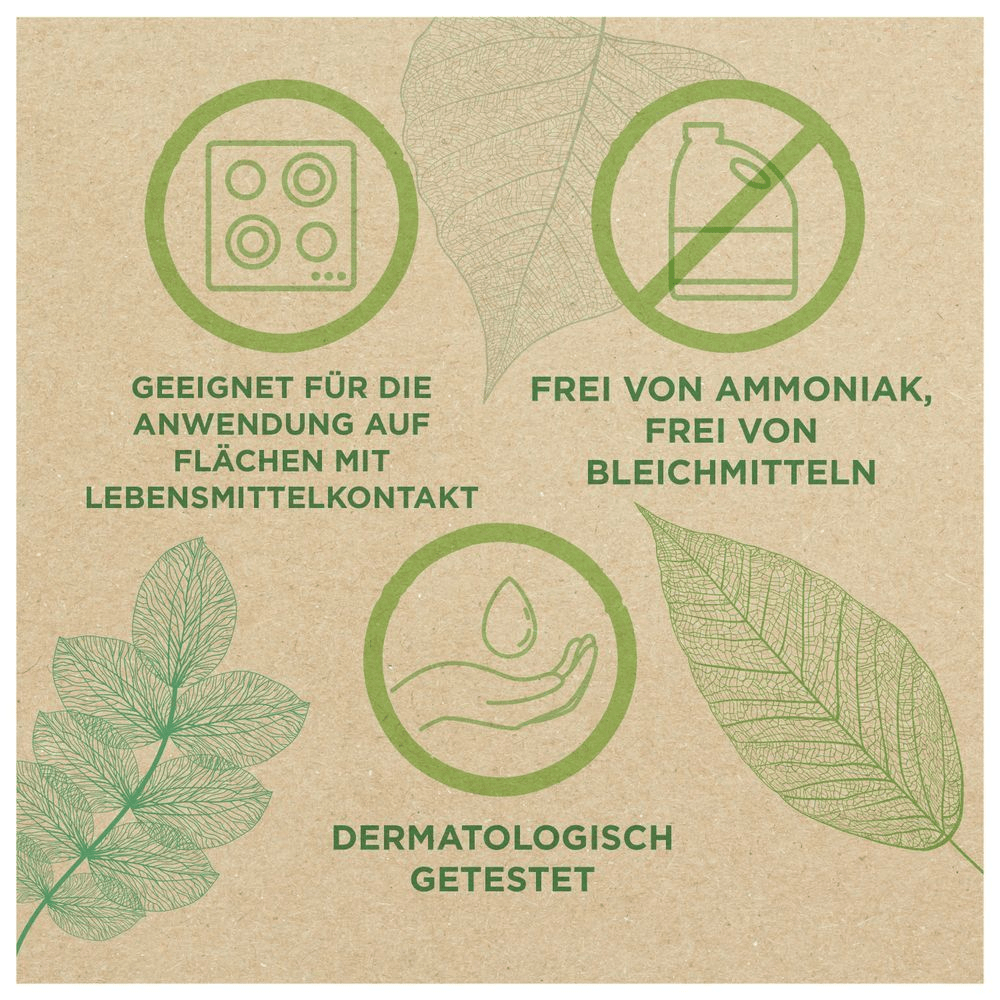 Bild: Meister Proper Desinfizierende, plastikfreie Reinigungstücher, Eukalyptus & Minze